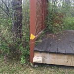 Carpenter ant bait station attached to deck